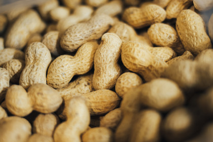 Allergie e intolleranze